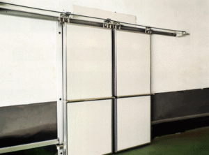 ELectric double sliding door